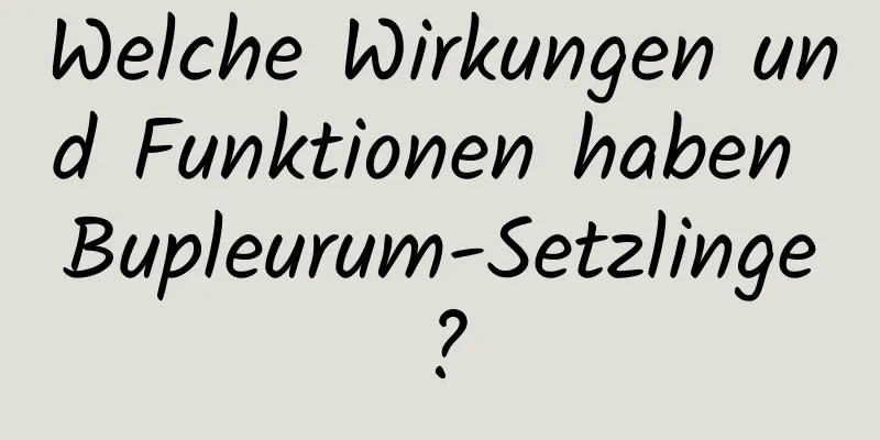 Welche Wirkungen und Funktionen haben Bupleurum-Setzlinge?