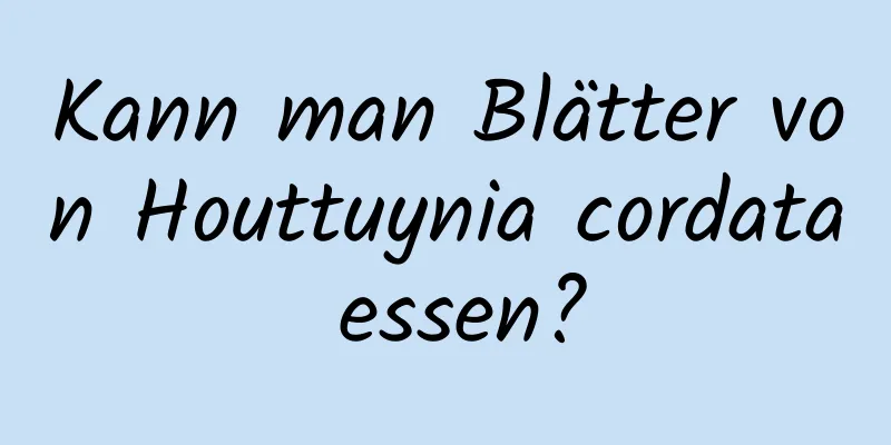 Kann man Blätter von Houttuynia cordata essen?