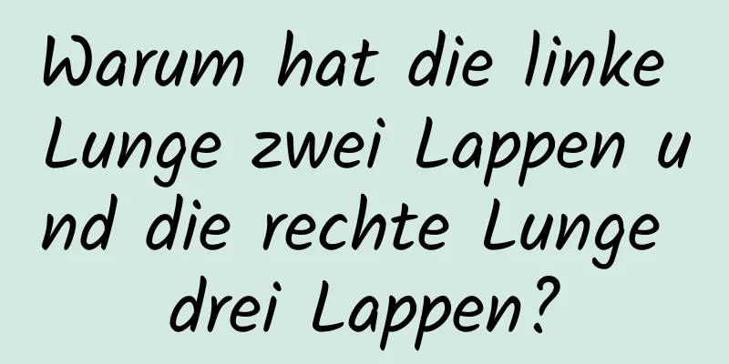 Warum hat die linke Lunge zwei Lappen und die rechte Lunge drei Lappen?