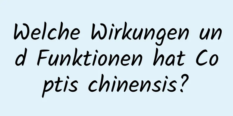 Welche Wirkungen und Funktionen hat Coptis chinensis?