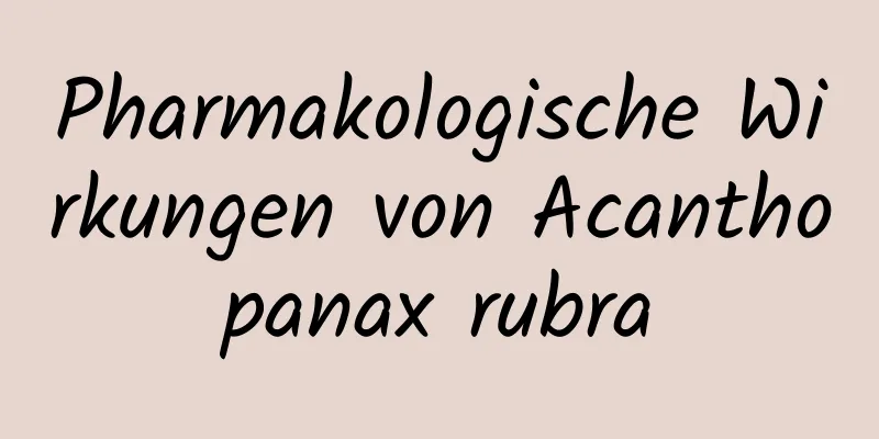 Pharmakologische Wirkungen von Acanthopanax rubra