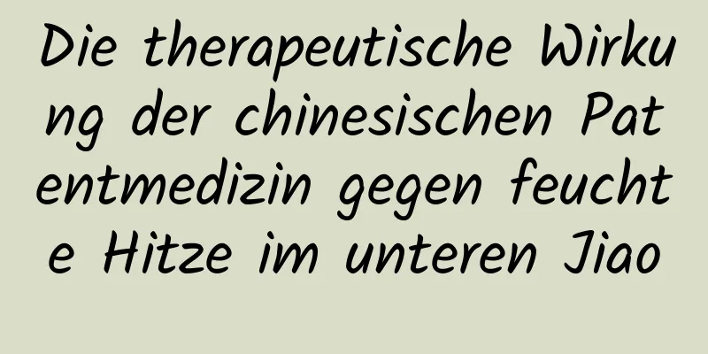 Die therapeutische Wirkung der chinesischen Patentmedizin gegen feuchte Hitze im unteren Jiao