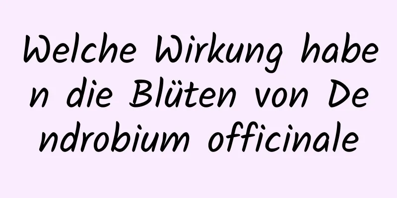 Welche Wirkung haben die Blüten von Dendrobium officinale