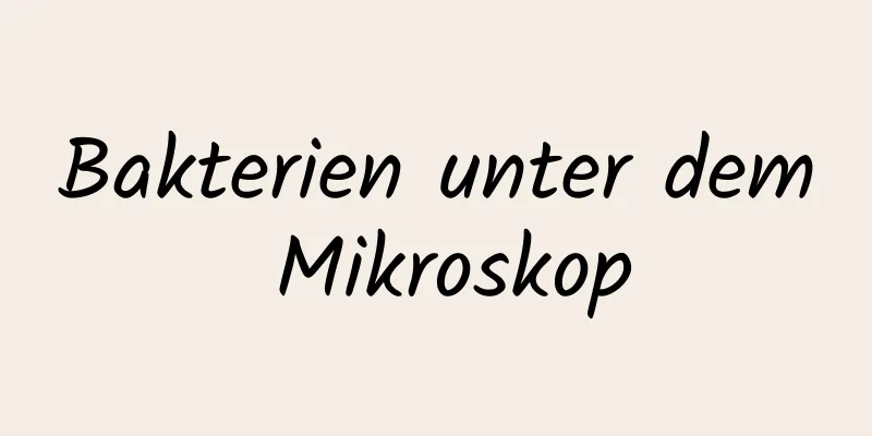 Bakterien unter dem Mikroskop