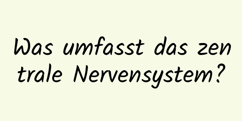 Was umfasst das zentrale Nervensystem?