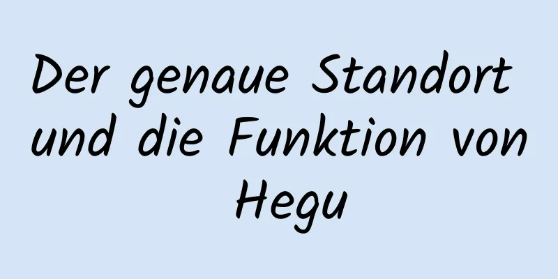 Der genaue Standort und die Funktion von Hegu