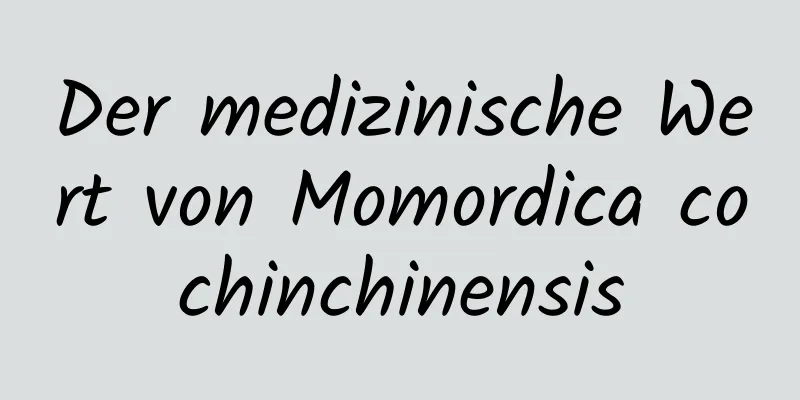 Der medizinische Wert von Momordica cochinchinensis