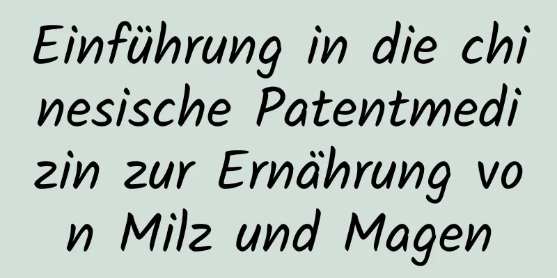 Einführung in die chinesische Patentmedizin zur Ernährung von Milz und Magen