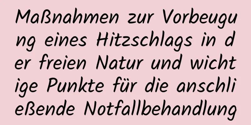 Maßnahmen zur Vorbeugung eines Hitzschlags in der freien Natur und wichtige Punkte für die anschließende Notfallbehandlung