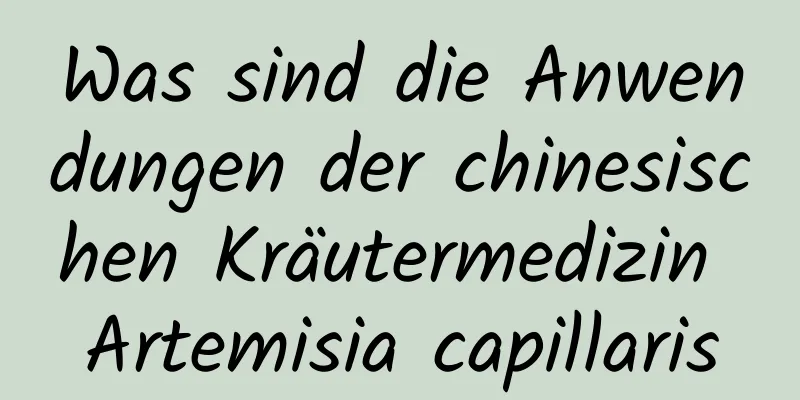 Was sind die Anwendungen der chinesischen Kräutermedizin Artemisia capillaris