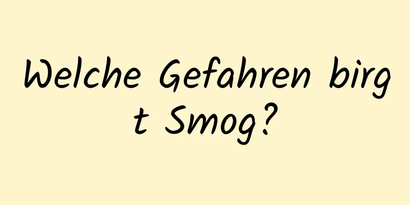 Welche Gefahren birgt Smog?