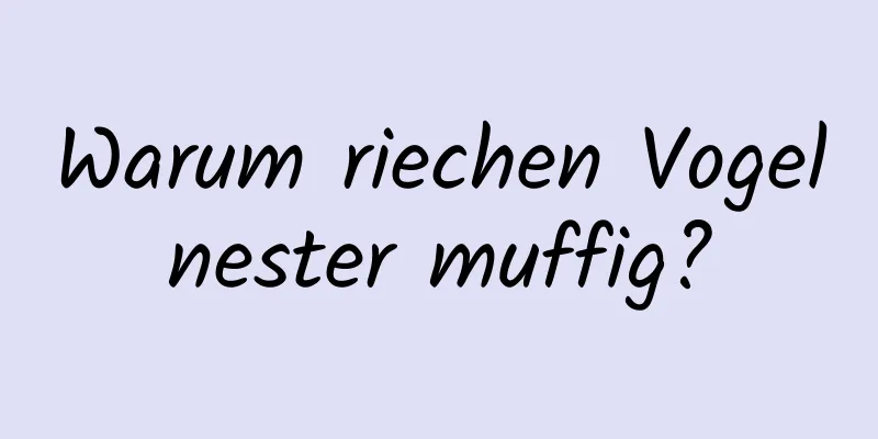 Warum riechen Vogelnester muffig?