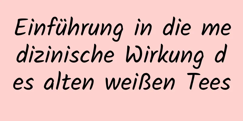 Einführung in die medizinische Wirkung des alten weißen Tees