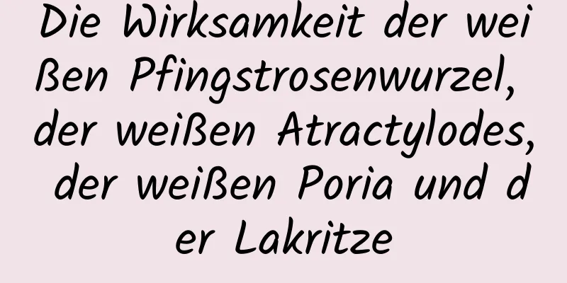 Die Wirksamkeit der weißen Pfingstrosenwurzel, der weißen Atractylodes, der weißen Poria und der Lakritze