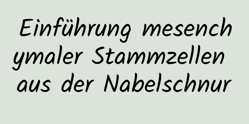 Einführung mesenchymaler Stammzellen aus der Nabelschnur