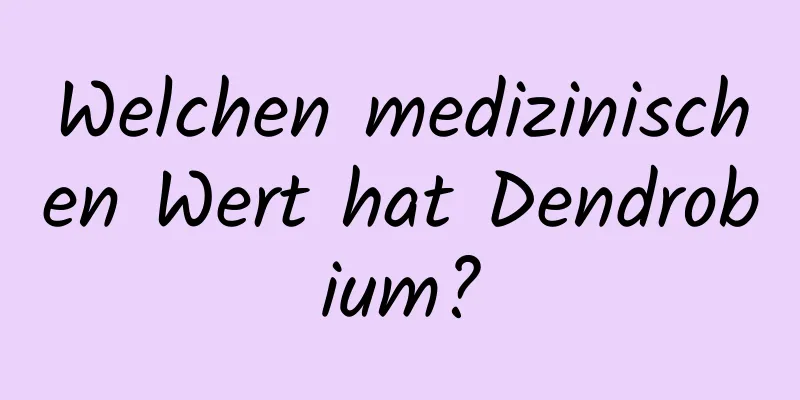 Welchen medizinischen Wert hat Dendrobium?