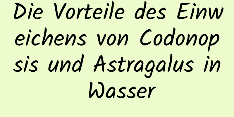 Die Vorteile des Einweichens von Codonopsis und Astragalus in Wasser