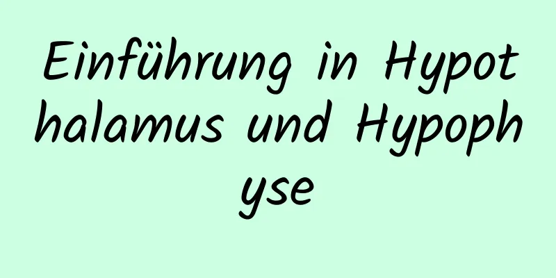 Einführung in Hypothalamus und Hypophyse