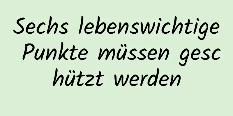 Sechs lebenswichtige Punkte müssen geschützt werden