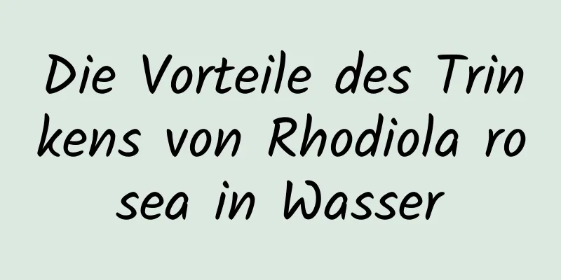 Die Vorteile des Trinkens von Rhodiola rosea in Wasser