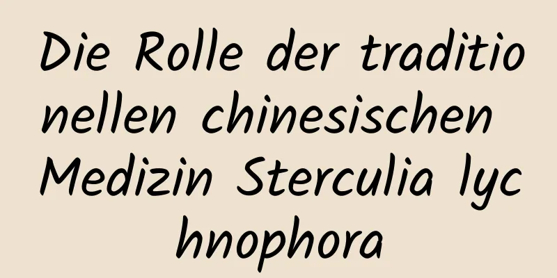 Die Rolle der traditionellen chinesischen Medizin Sterculia lychnophora