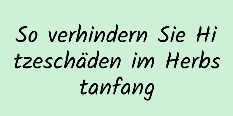 So verhindern Sie Hitzeschäden im Herbstanfang