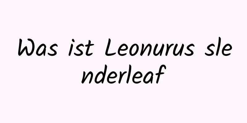 Was ist Leonurus slenderleaf