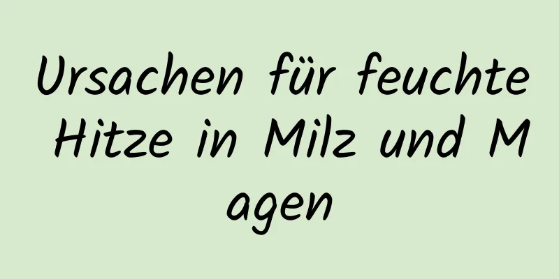 Ursachen für feuchte Hitze in Milz und Magen