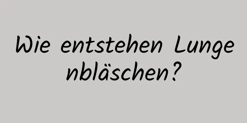 Wie entstehen Lungenbläschen?