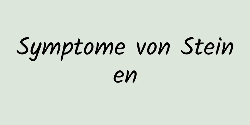 Symptome von Steinen