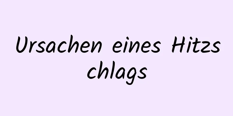 Ursachen eines Hitzschlags