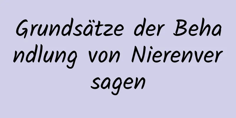 Grundsätze der Behandlung von Nierenversagen