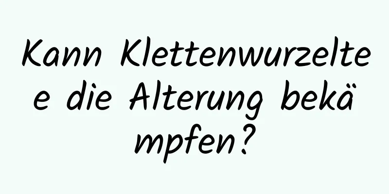 Kann Klettenwurzeltee die Alterung bekämpfen?