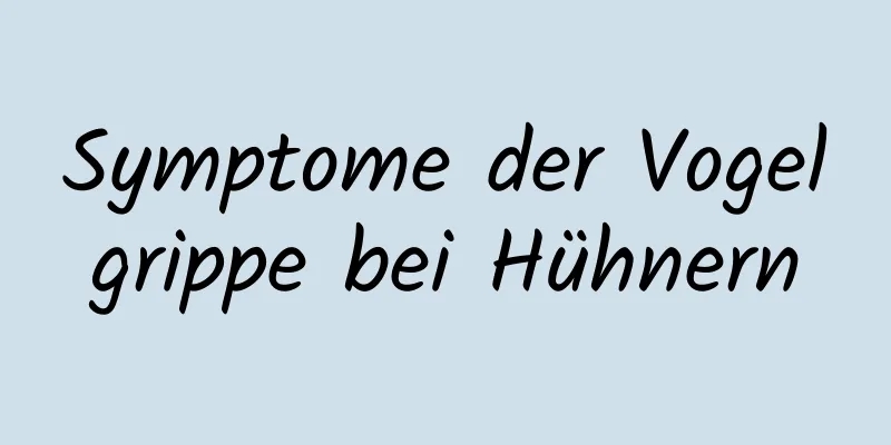 Symptome der Vogelgrippe bei Hühnern