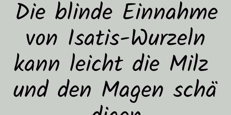 Die blinde Einnahme von Isatis-Wurzeln kann leicht die Milz und den Magen schädigen