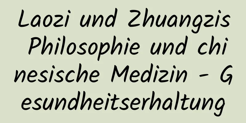 Laozi und Zhuangzis Philosophie und chinesische Medizin - Gesundheitserhaltung