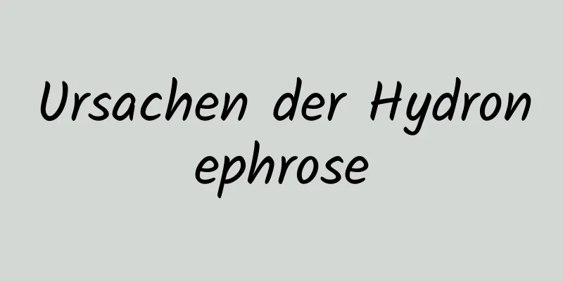 Ursachen der Hydronephrose