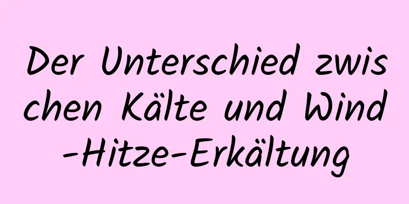 Der Unterschied zwischen Kälte und Wind-Hitze-Erkältung