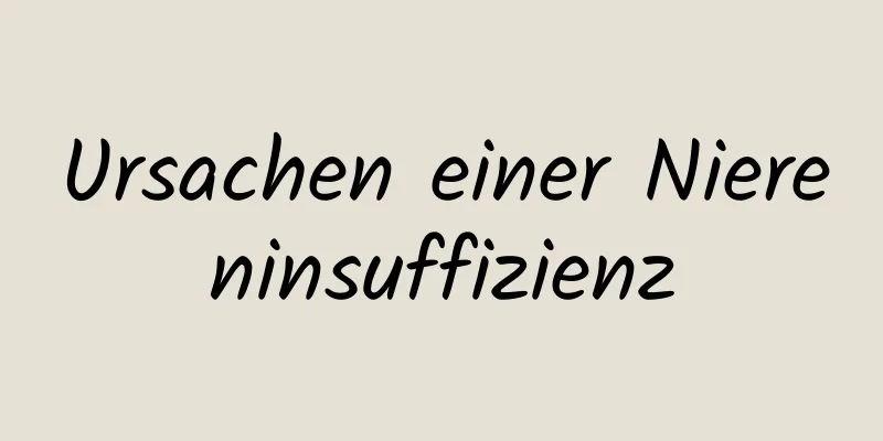 Ursachen einer Niereninsuffizienz