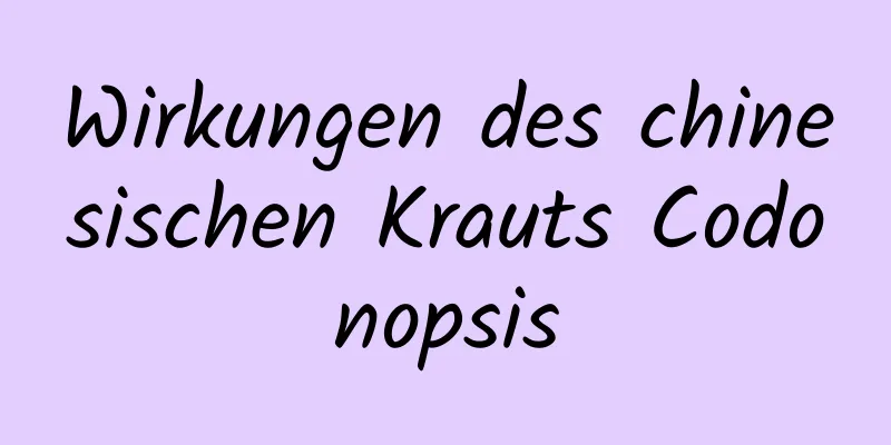 Wirkungen des chinesischen Krauts Codonopsis