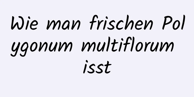 Wie man frischen Polygonum multiflorum isst