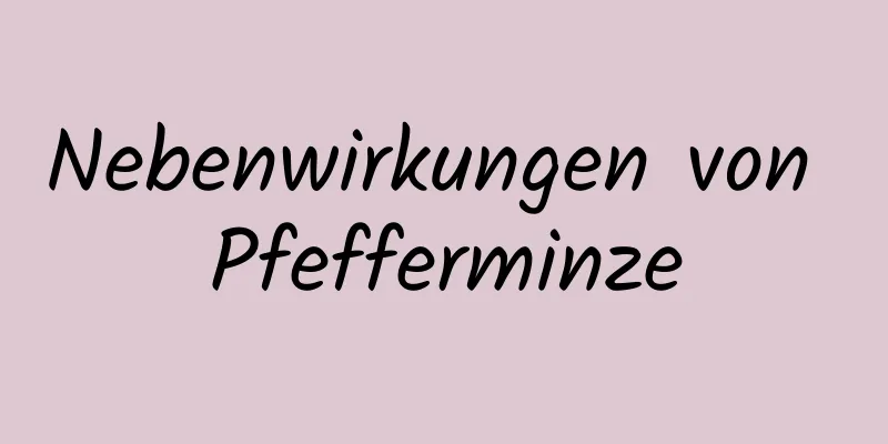 Nebenwirkungen von Pfefferminze