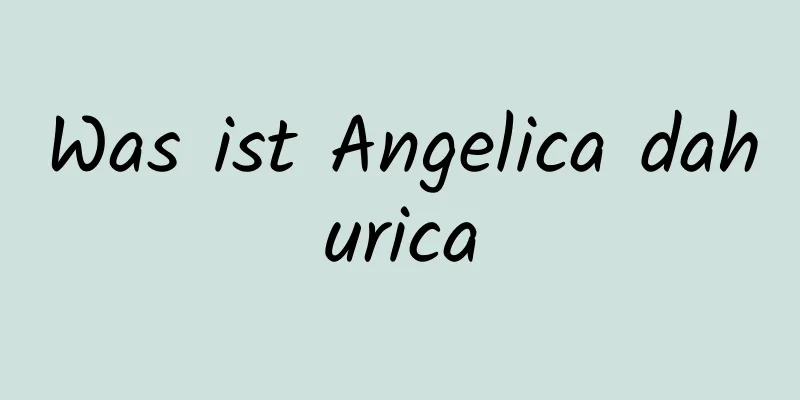 Was ist Angelica dahurica