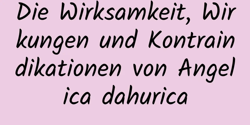 Die Wirksamkeit, Wirkungen und Kontraindikationen von Angelica dahurica