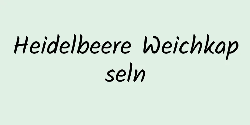 Heidelbeere Weichkapseln