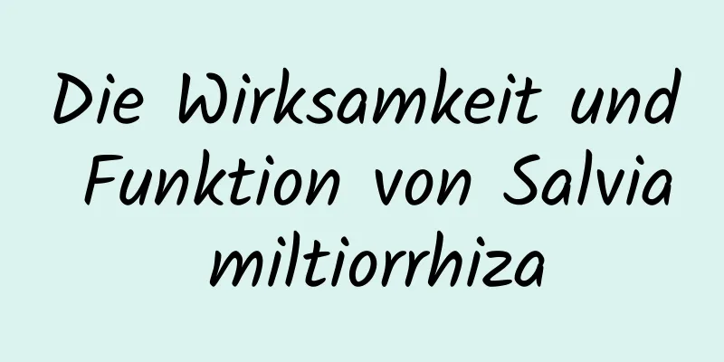 Die Wirksamkeit und Funktion von Salvia miltiorrhiza