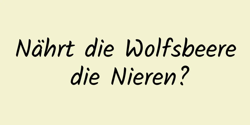 Nährt die Wolfsbeere die Nieren?