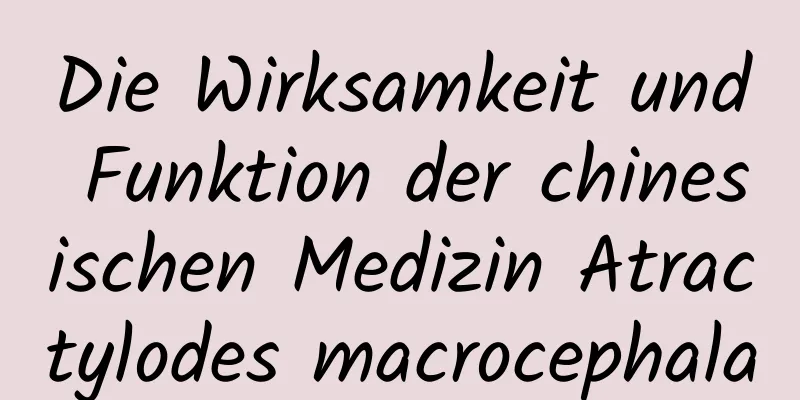 Die Wirksamkeit und Funktion der chinesischen Medizin Atractylodes macrocephala