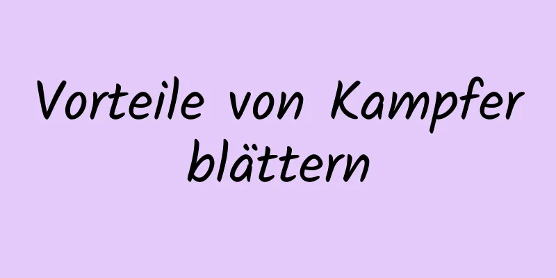 Vorteile von Kampferblättern