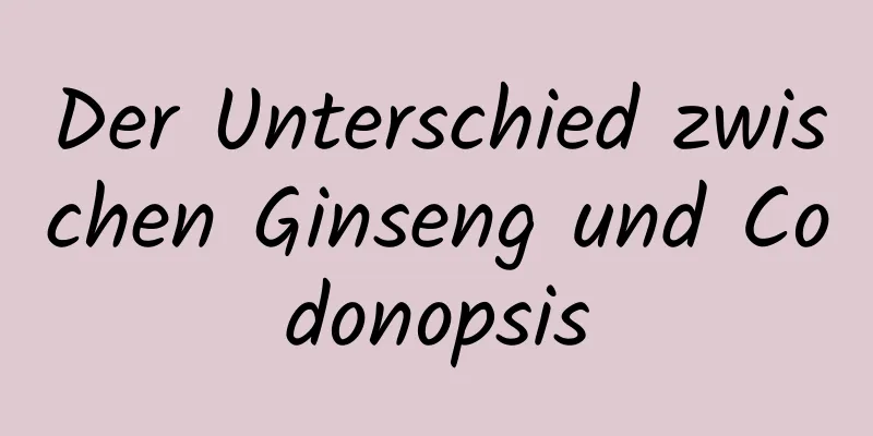 Der Unterschied zwischen Ginseng und Codonopsis